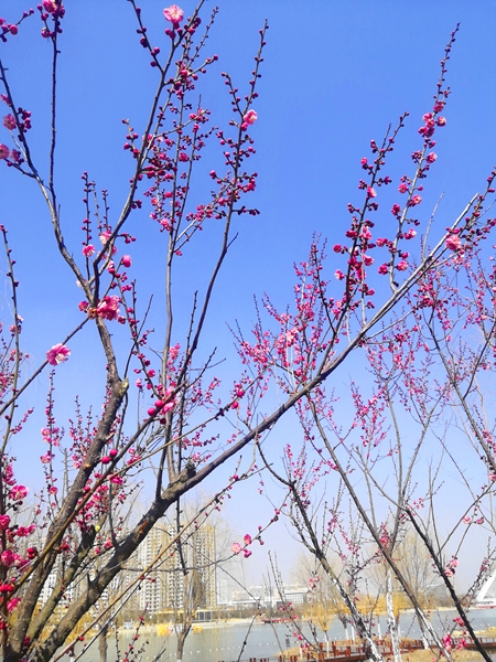 1651742114953433.jpg e0090604-0f90-4d1c-b1e3-06901980e50c(1)_副本.jpg