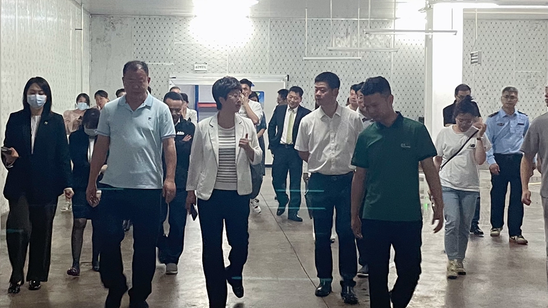 1685602320500102.jpg 744d214e9490a30644d1f38fe53b7a3_副本.jpg