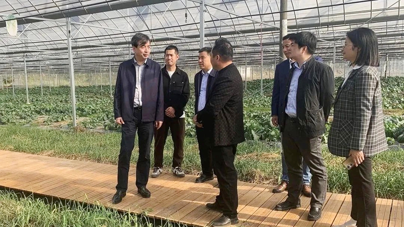 串起產(chǎn)業(yè)鏈 拓寬銷(xiāo)售網(wǎng) 唱響共富經(jīng) 浙農(nóng)多渠道助力常山縣產(chǎn)業(yè)提升農(nóng)戶(hù)增收