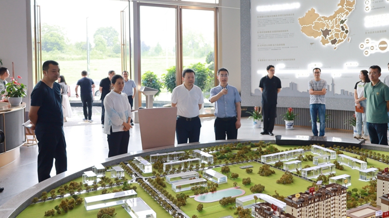 成都市新都區(qū)調(diào)研組到華都&middot;翡麗悅府項(xiàng)目調(diào)研