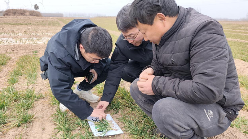 愛普科技開展田間回訪助力春耕生產(chǎn)