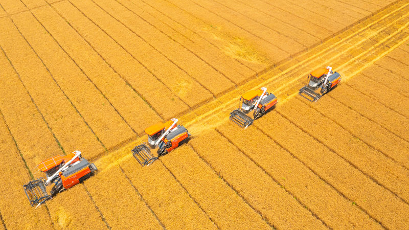 《朝聞天下》《浙江新聞聯(lián)播》關(guān)注嘉善浙農(nóng)耘糧油未來農(nóng)場秋糧收儲(chǔ)工作