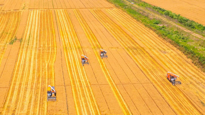 浙農(nóng)股份典型案例入選全國(guó)總社&ldquo;綠色農(nóng)資&rdquo;升級(jí)行動(dòng)案例集